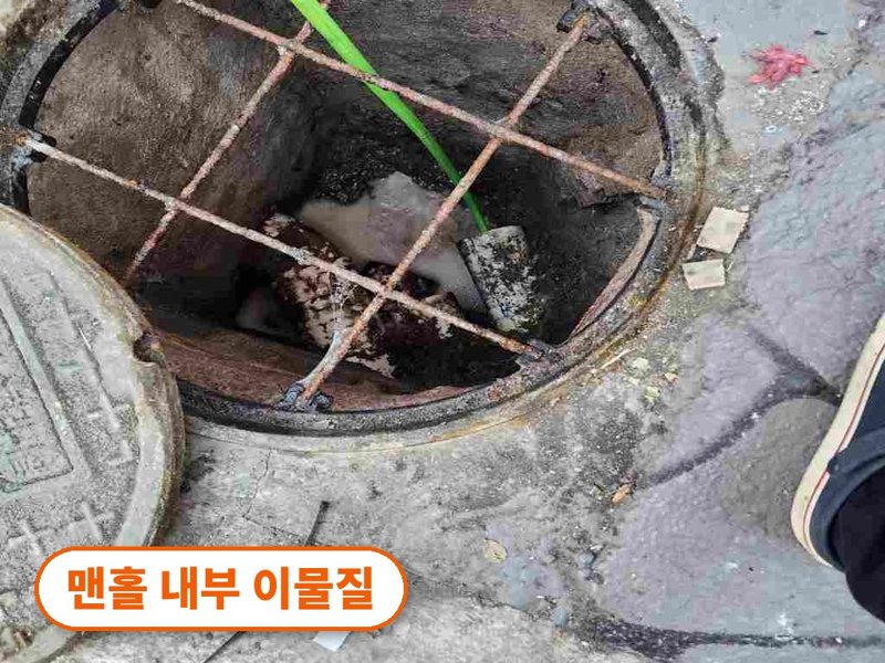 중구 1층 화장실로 물이 올라올 때 확인할 것